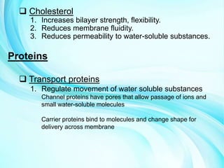 Cholesterol
1. Increases bilayer strength, flexibility.
2. Reduces membrane fluidity.
3. Reduces permeability to water-soluble substances.
Proteins
 Transport proteins
1. Regulate movement of water soluble substances
Channel proteins have pores that allow passage of ions and
small water-soluble molecules
Carrier proteins bind to molecules and change shape for
delivery across membrane
 