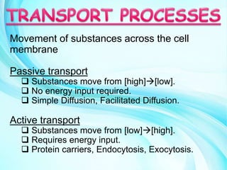 Movement of substances across the cell
membrane
Passive transport
 Substances move from [high][low].
 No energy input required.
 Simple Diffusion, Facilitated Diffusion.
Active transport
 Substances move from [low][high].
 Requires energy input.
 Protein carriers, Endocytosis, Exocytosis.
 
