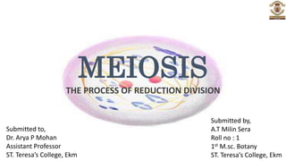 MEIOSIS
THE PROCESS OF REDUCTION DIVISION
Submitted by,
A.T Milin Sera
Roll no : 1
1st M.sc. Botany
ST. Teresa’s College, Ekm
Submitted to,
Dr. Arya P Mohan
Assistant Professor
ST. Teresa’s College, Ekm
 