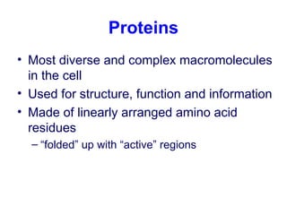 Proteins
• Most diverse and complex macromolecules
in the cell
• Used for structure, function and information
• Made of linearly arranged amino acid
residues
– “folded” up with “active” regions
 