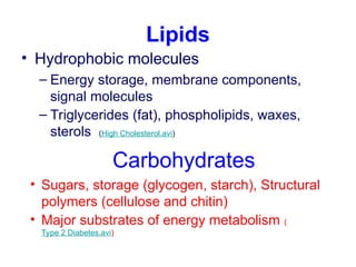 • Hydrophobic molecules
– Energy storage, membrane components,
signal molecules
– Triglycerides (fat), phospholipids, waxes,
sterols (High Cholesterol.avi)
Lipids
• Sugars, storage (glycogen, starch), Structural
polymers (cellulose and chitin)
• Major substrates of energy metabolism (
Type 2 Diabetes.avi)
Carbohydrates
 