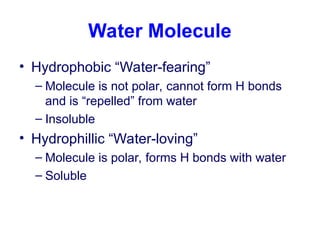 • Hydrophobic “Water-fearing”
– Molecule is not polar, cannot form H bonds
and is “repelled” from water
– Insoluble
• Hydrophillic “Water-loving”
– Molecule is polar, forms H bonds with water
– Soluble
Water Molecule
 