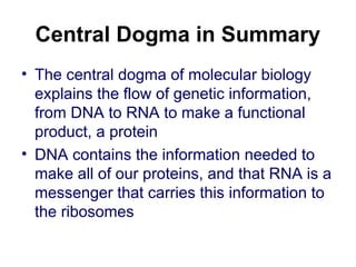 Central Dogma in Summary
• The central dogma of molecular biology
explains the flow of genetic information,
from DNA to RNA to make a functional
product, a protein
• DNA contains the information needed to
make all of our proteins, and that RNA is a
messenger that carries this information to
the ribosomes
 
