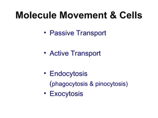 Molecule Movement & Cells
• Passive Transport
• Active Transport
• Endocytosis
(phagocytosis & pinocytosis)
• Exocytosis
 