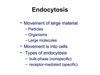 Endocytosis
• Movement of large material
– Particles
– Organisms
– Large molecules
• Movement is into cells
• Types of endocytosis
– bulk-phase (nonspecific)
– receptor-mediated (specific)
 