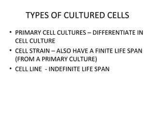 TYPES OF CULTURED CELLS
• PRIMARY CELL CULTURES – DIFFERENTIATE IN
CELL CULTURE
• CELL STRAIN – ALSO HAVE A FINITE LIFE SPAN
(FROM A PRIMARY CULTURE)
• CELL LINE - INDEFINITE LIFE SPAN
 