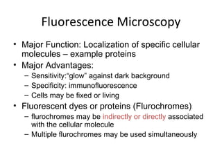 Fluorescence Microscopy
• Major Function: Localization of specific cellular
molecules – example proteins
• Major Advantages:
– Sensitivity:“glow” against dark background
– Specificity: immunofluorescence
– Cells may be fixed or living
• Fluorescent dyes or proteins (Flurochromes)
– flurochromes may be indirectly or directly associated
with the cellular molecule
– Multiple flurochromes may be used simultaneously
 