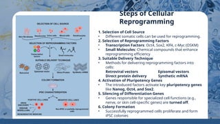 Cell Biology_ The Cytoskeleton and its Components by Slidesgo.pptx