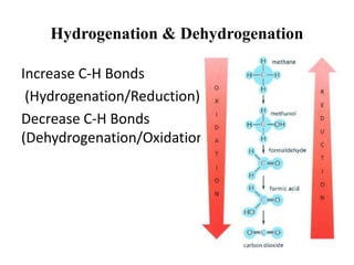 Oxidation & Reduction involves electron transfer & How enzymes find ...
