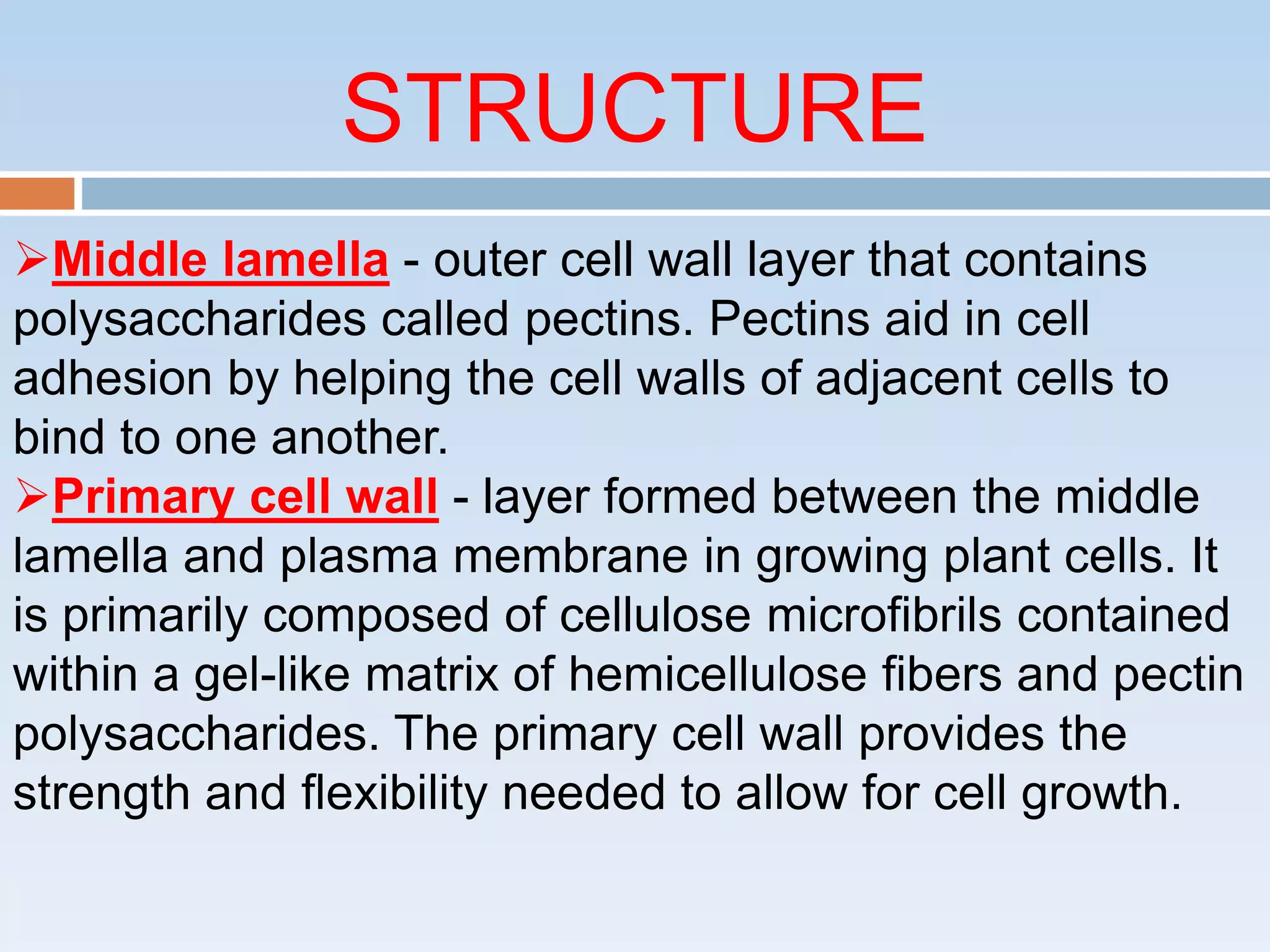Cell Wall | PPTX