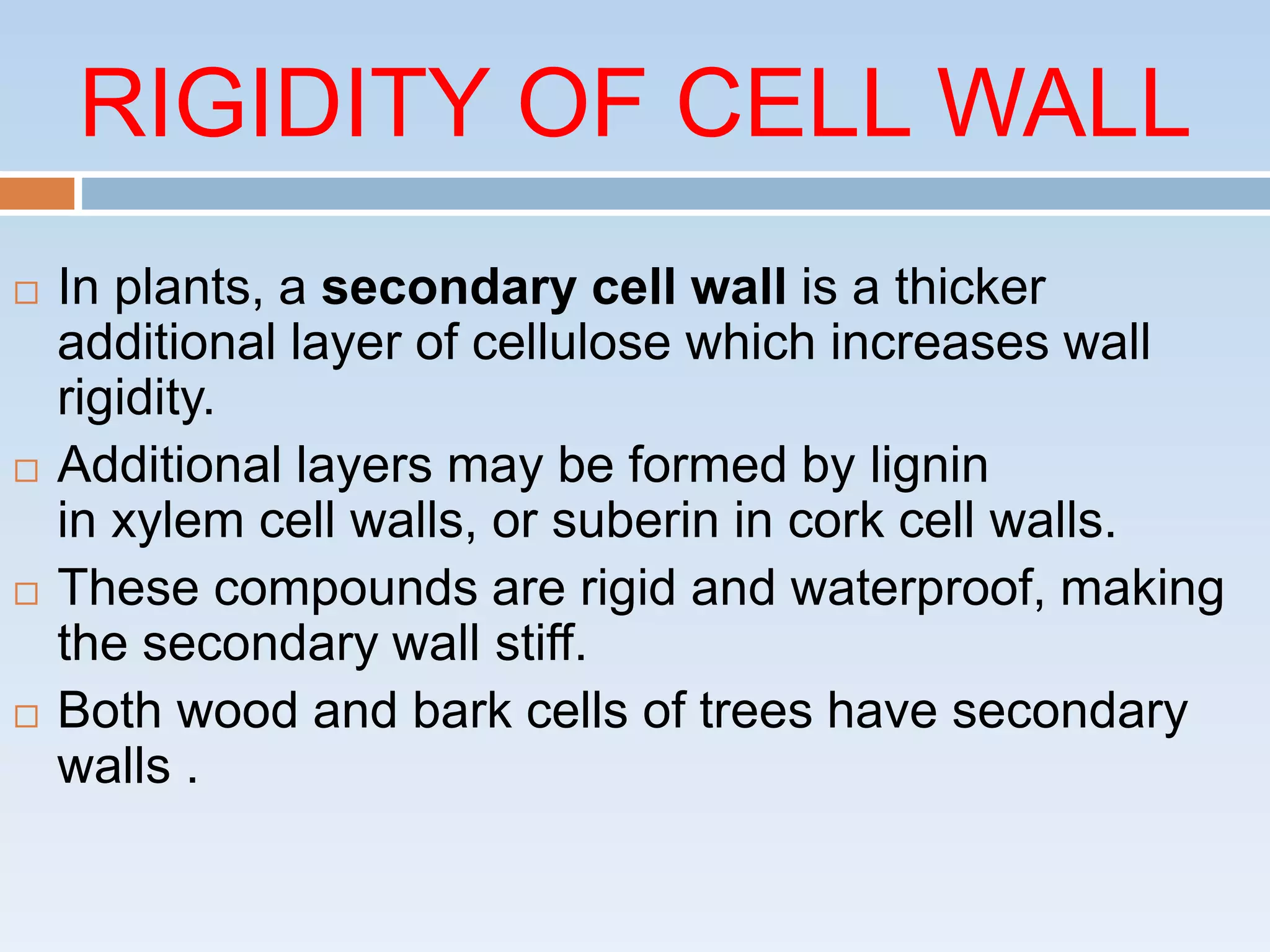 Cell Wall | PPTX | Gardening | Home & Garden