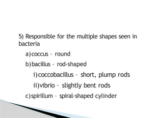 5) Responsible for the multiple shapes seen in
bacteria
a)coccus – round
b)bacillus – rod-shaped
i)coccobacillus – short, plump rods
ii)vibrio – slightly bent rods
c)spirillum – spiral-shaped cylinder
 