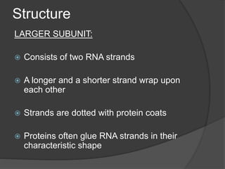 RIBOSOMES | PPTX