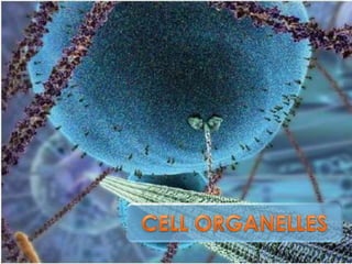 Organelles
 