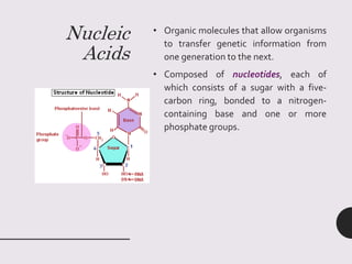 Nucleic
Acids
• Organic molecules that allow organisms
to transfer genetic information from
one generation to the next.
• Composed of nucleotides, each of
which consists of a sugar with a five-
carbon ring, bonded to a nitrogen-
containing base and one or more
phosphate groups.
 