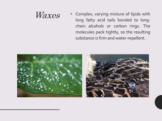 Waxes • Complex, varying mixture of lipids with
long fatty acid tails bonded to long-
chain alcohols or carbon rings. The
molecules pack tightly, so the resulting
substance is firm and water-repellent.
 
