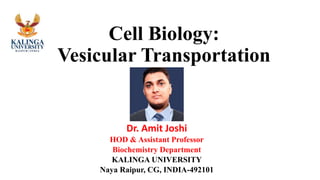 Cell Biology:
Vesicular Transportation
Dr. Amit Joshi
HOD & Assistant Professor
Biochemistry Department
KALINGA UNIVERSITY
Naya Raipur, CG, INDIA-492101
 