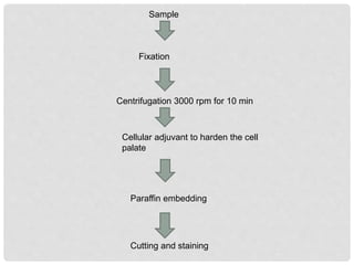 Cell Block Process Cell block | PPTX
