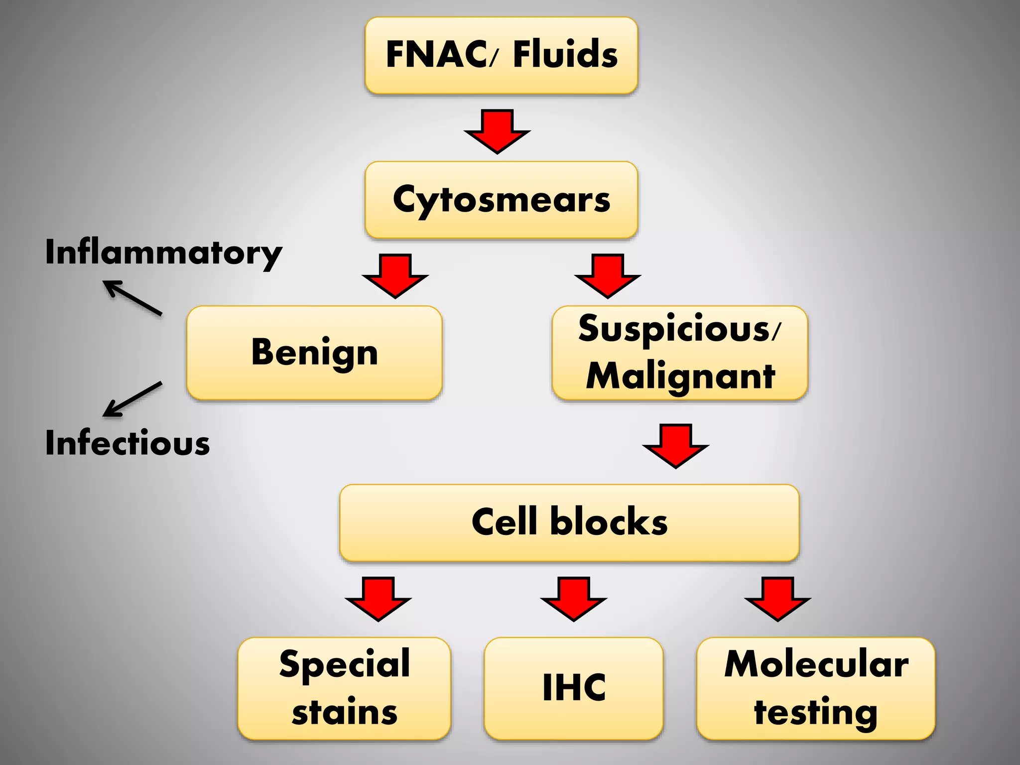 Cytosmears
Suspicious/
Malignant
Cell blocks
Special
stains
IHC
Molecular
testing
FNAC/ Fluids
Benign
Inflammatory
Infectious
 