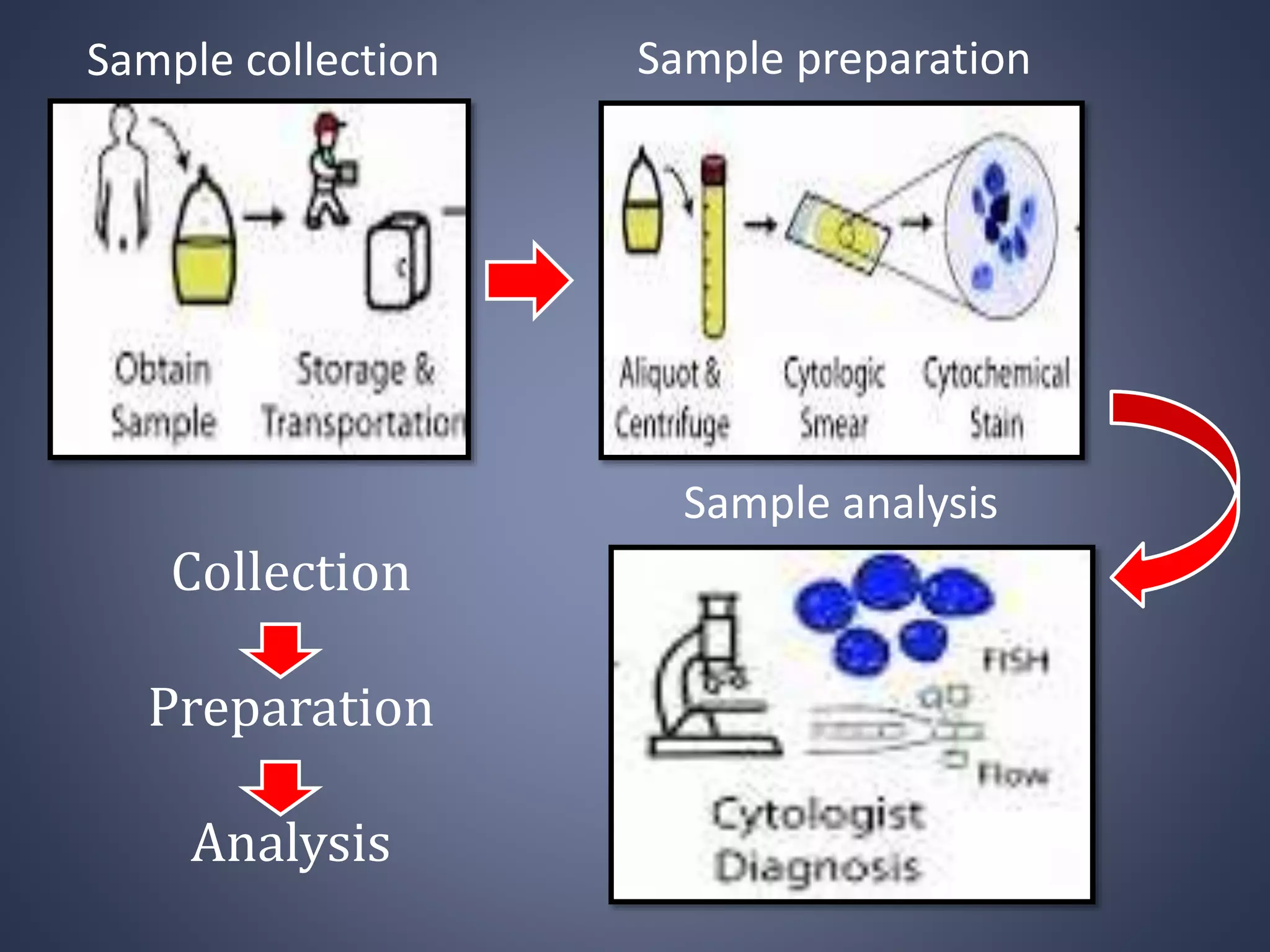 Sample collection Sample preparation
Sample analysis
Collection
Preparation
Analysis
 