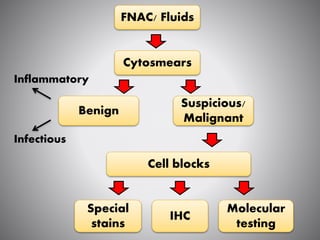 Cell Block Testing Cell block and its utility | PPTX