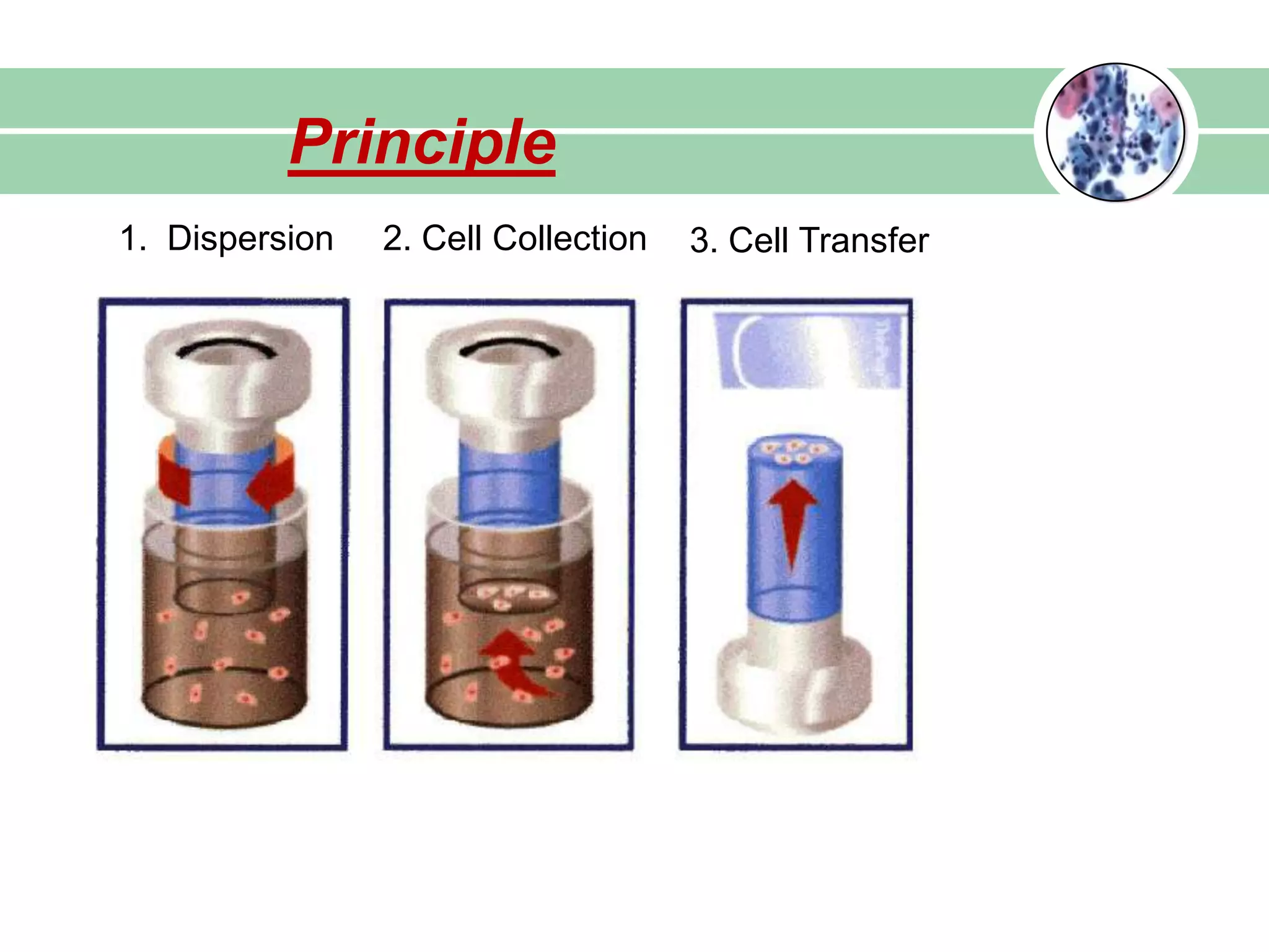 1. Dispersion 2. Cell Collection 3. Cell Transfer
Principle
 