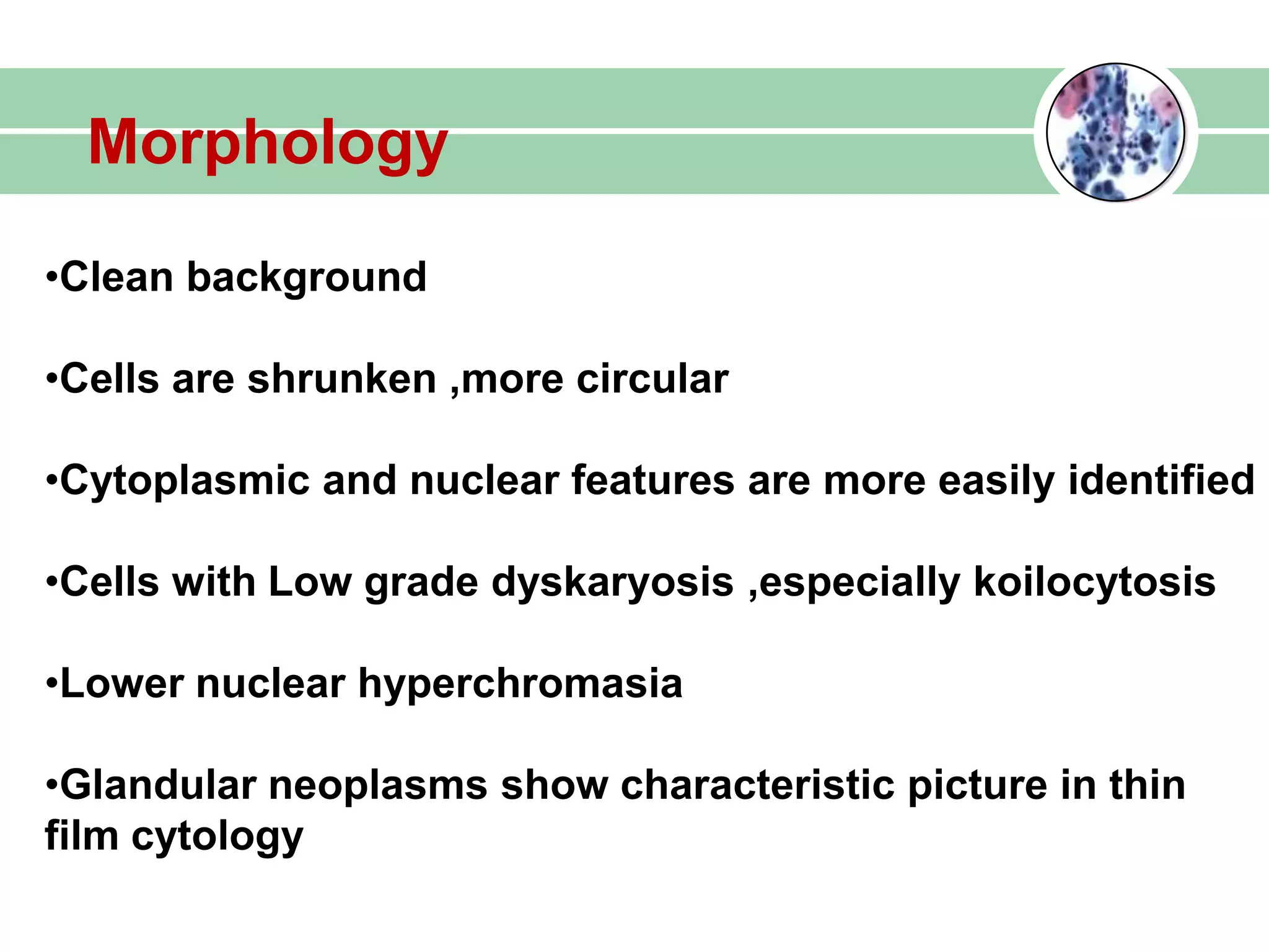 Morphology
•Clean background
•Cells are shrunken ,more circular
•Cytoplasmic and nuclear features are more easily identified
•Cells with Low grade dyskaryosis ,especially koilocytosis
•Lower nuclear hyperchromasia
•Glandular neoplasms show characteristic picture in thin
film cytology
 