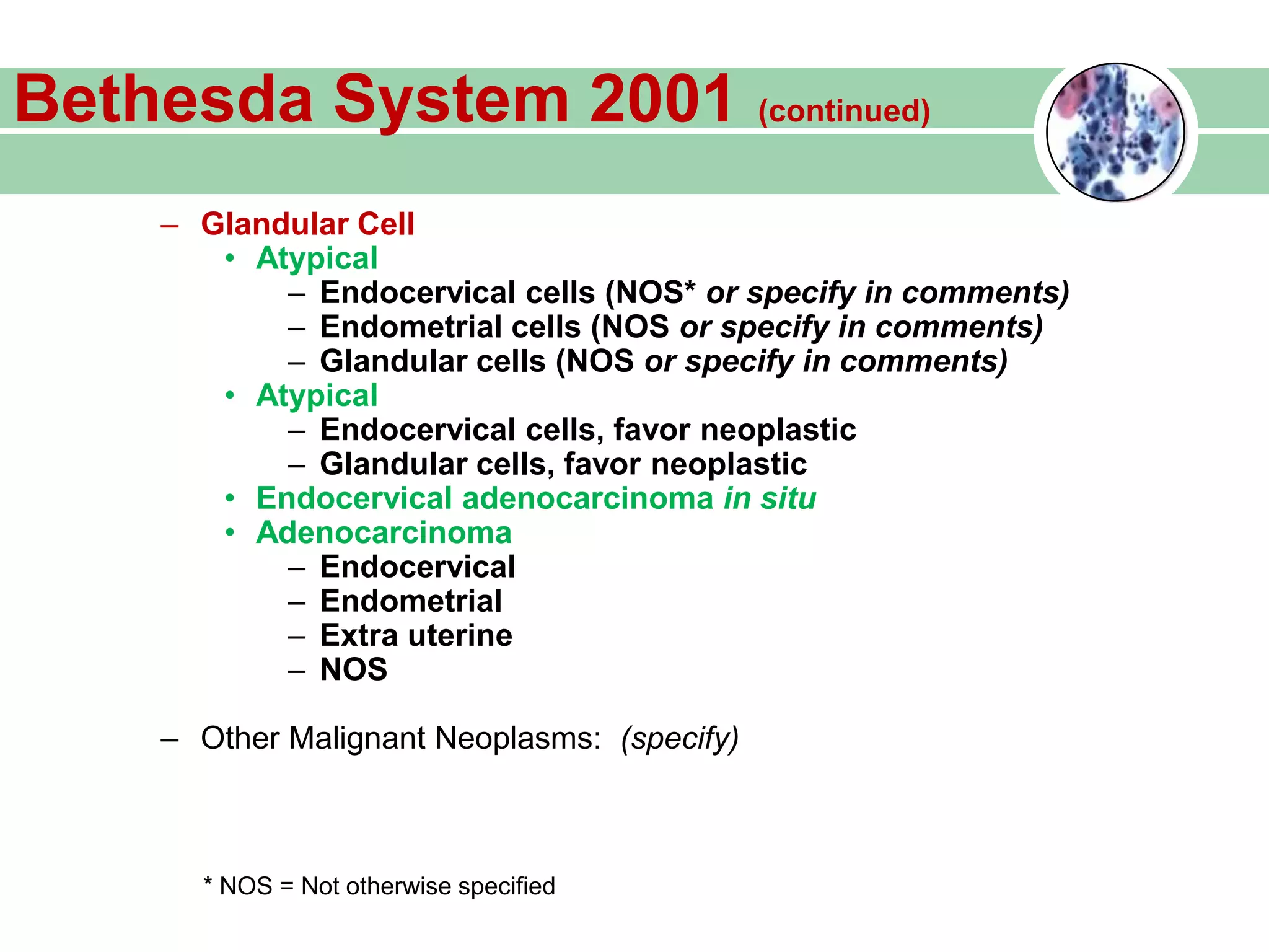Bethesda System 2001 (continued)
– Glandular Cell
• Atypical
– Endocervical cells (NOS* or specify in comments)
– Endometrial cells (NOS or specify in comments)
– Glandular cells (NOS or specify in comments)
• Atypical
– Endocervical cells, favor neoplastic
– Glandular cells, favor neoplastic
• Endocervical adenocarcinoma in situ
• Adenocarcinoma
– Endocervical
– Endometrial
– Extra uterine
– NOS
– Other Malignant Neoplasms: (specify)
* NOS = Not otherwise specified
 