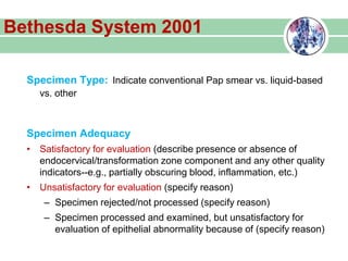 Bethesda System 2001
Specimen Type: Indicate conventional Pap smear vs. liquid-based
vs. other
Specimen Adequacy
• Satisfactory for evaluation (describe presence or absence of
endocervical/transformation zone component and any other quality
indicators--e.g., partially obscuring blood, inflammation, etc.)
• Unsatisfactory for evaluation (specify reason)
– Specimen rejected/not processed (specify reason)
– Specimen processed and examined, but unsatisfactory for
evaluation of epithelial abnormality because of (specify reason)
 