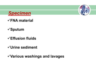 Specimen
FNA material
Sputum
Effusion fluids
Urine sediment
Various washings and lavages
 