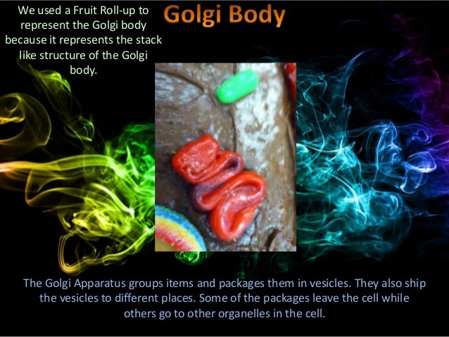 Cell cake project