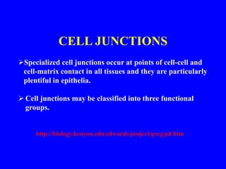 CELL JUNCTIONS
Specialized cell junctions occur at points of cell-cell and
cell-matrix contact in all tissues and they are particularly
plentiful in epithelia.
 Cell junctions may be classified into three functional
groups.
http://biology.kenyon.edu/edwards/project/greg/pd.htm
 