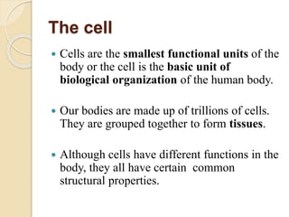 The cell
 Cells are the smallest functional units of the
body or the cell is the basic unit of
biological organization of the human body.
 Our bodies are made up of trillions of cells.
They are grouped together to form tissues.
 Although cells have different functions in the
body, they all have certain common
structural properties.
 