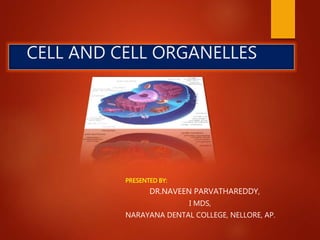 CELL AND CELL ORGANELLES
PRESENTED BY:
DR.NAVEEN PARVATHAREDDY,
I MDS,
NARAYANA DENTAL COLLEGE, NELLORE, AP.
 