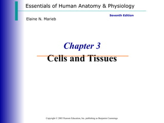 Chapter 3 Cells and Tissues Essentials of Human Anatomy & Physiology Copyright © 2003 Pearson Education, Inc. publishing as Benjamin Cummings Seventh Edition Elaine N. Marieb 