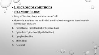 • 2. MICROSCOPY METHODS
• CELL MORPHOLOGY:
• Study of the size, shape and structure of cell.
• Most cells in culture can be divided into five basic categories based on their
morphology. They are:
1. Fibroblastic/ Fibroblastoid (Fibroblast-like)
2. Epithelial/ Epithelioid (Epithelial-like)
3. Lymphoblast-like
4. Endothelial
5. Neuronal
 