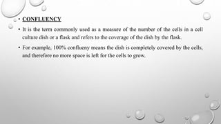 • CONFLUENCY
• It is the term commonly used as a measure of the number of the cells in a cell
culture dish or a flask and refers to the coverage of the dish by the flask.
• For example, 100% conflueny means the dish is completely covered by the cells,
and therefore no more space is left for the cells to grow.
 