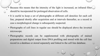 • Because this means that the intensity of the light is increased, an infrared filter
should be incorporated for prolonged observation of cells.
• It is useful to keep a set of photographs at different cell densities for each cell
line, prepared shortly after acquisition and at intervals thereafter, as a record in
case a morphological change is subsequently suspected.
• Photographs of cell lines in regular use should be displayed above the inverted
microscope.
• Photographic records can be supplemented with photographs of stained
preparations and digital output from DNA profiling and stored with the cell line
record in a database or stored separately and linked to the cell line database.
 