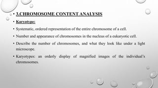• 3.CHROMOSOME CONTENT ANALYSIS
• Karyotype:
• Systematic, ordered representation of the entire chromosome of a cell.
• Number and appearance of chromosomes in the nucleus of a eukaryotic cell.
• Describe the number of chromosomes, and what they look like under a light
microscope.
• Karyotypes: an orderly display of magnified images of the individual’s
chromosomes.
 