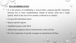 1. DNA HYBRIDISATION
• It is the process of establishing a non-covalent, sequence-specific interaction
between two or more complementary strands of nucleic acids into a single
hybrid, which in the case of two strands is referred to as a duplex.
• Can provide information about-
• Species specific regions
• Amplified regions of the DNA
• Altered base sequences that are characteristic to that cell line
• Ex: Over expression of specific oncogene in transformed cell lines.
 