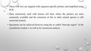 • These STR loci are targeted with sequence-specific primers and amplified using
PCR.
• Most extensively used with human cell lines where the primers are most
commonly available and the extension of this to other animal species is still
somewhat limited.
• Speciation can be achieved however using the so called “barcode region” of the
cytochrome oxidase-1 as well as by isoenzyme analysis.
 