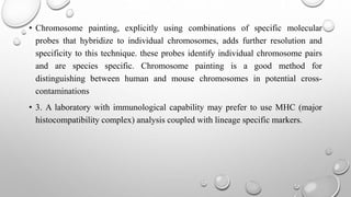 • Chromosome painting, explicitly using combinations of specific molecular
probes that hybridize to individual chromosomes, adds further resolution and
specificity to this technique. these probes identify individual chromosome pairs
and are species specific. Chromosome painting is a good method for
distinguishing between human and mouse chromosomes in potential cross-
contaminations
• 3. A laboratory with immunological capability may prefer to use MHC (major
histocompatibility complex) analysis coupled with lineage specific markers.
 