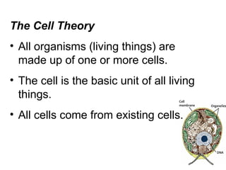 The Cell Theory
• All organisms (living things) are
made up of one or more cells.
• The cell is the basic unit of all living
things.
• All cells come from existing cells.
 