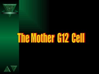The Mother  G12  Cell 