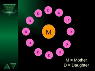 M = Mother D = Daughter D D D D D D D D D D D D M 