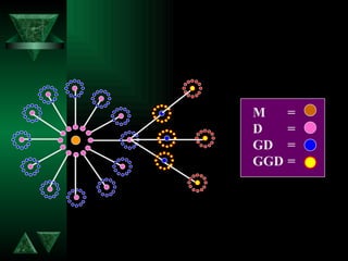 M = D = GD = GGD = 