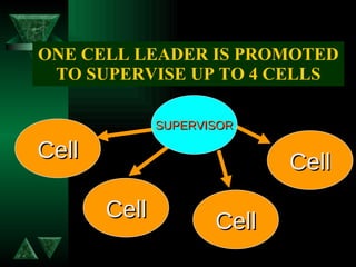 ONE CELL LEADER IS PROMOTED TO SUPERVISE UP TO 4 CELLS Cell Cell Cell Cell SUPERVISOR 