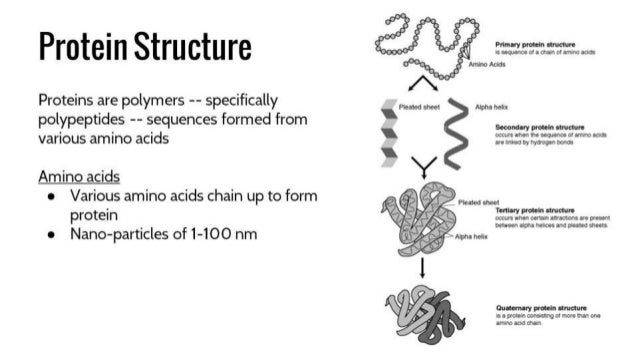 cell city analogy examples