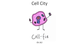 Cell City
Ch. 8.2
 