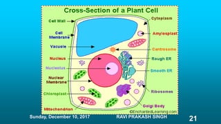 Sunday, December 10, 2017 RAVI PRAKASH SINGH
21
 